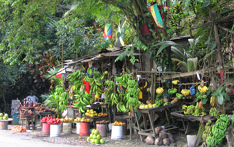 Продавщица фруктов, Ямайка